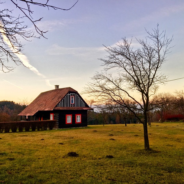 přírda