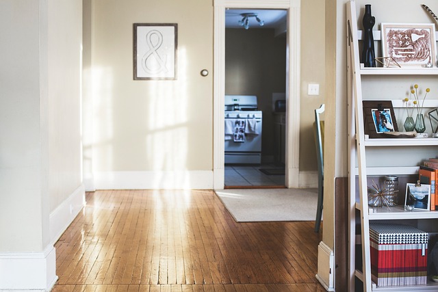 Jak Vybrat Správné Korkové Podlahy pro Váš Interiér